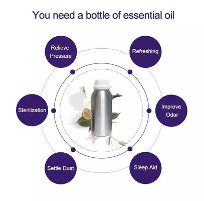 Long Lasting Waterless Wholesale Diffuser Fragrance Oil Bulk for Mist Making